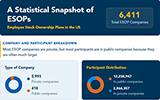 A Statistical Snapshot of ESOPs infographic